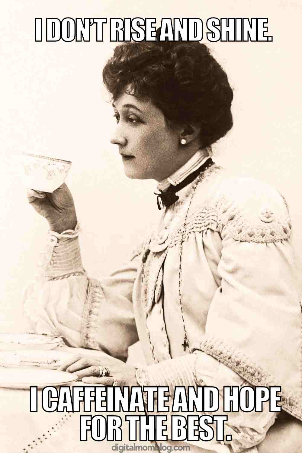 rise and shine morning meme A funny morning meme featuring a vintage photo of a woman in Victorian clothing holding a teacup, with text saying, "I don't rise and shine. I caffeinate and hope for the best."