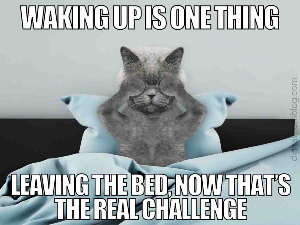 waking up meme leaving bed A meme showing a gray cat sitting upright in bed, rubbing its eyes, with the text, "Waking up is one thing, leaving the bed, now that's the real challenge," conveying a humorous take on the difficulty of getting out of bed in the morning.