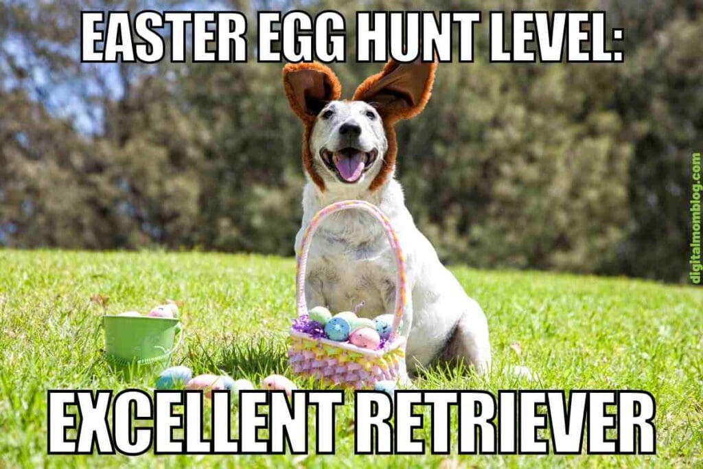 dog easter meme funny A cheerful dog with ears perked up triumphantly displays a basket full of colorful Easter eggs, under the humorous caption 'Easter Egg Hunt Level: Excellent Retriever,' celebrating its eggcellent retrieval skills in a playful garden setting.