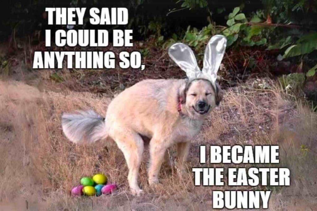 easter meme A dog wearing rabbit ears stands proudly next to colorful Easter eggs in a grassy area, with text reading "They said I could be anything so, I became the Easter Bunny." This humorous twist on Easter memes highlights the dog's comedic transformation into a hopping holiday mascot.