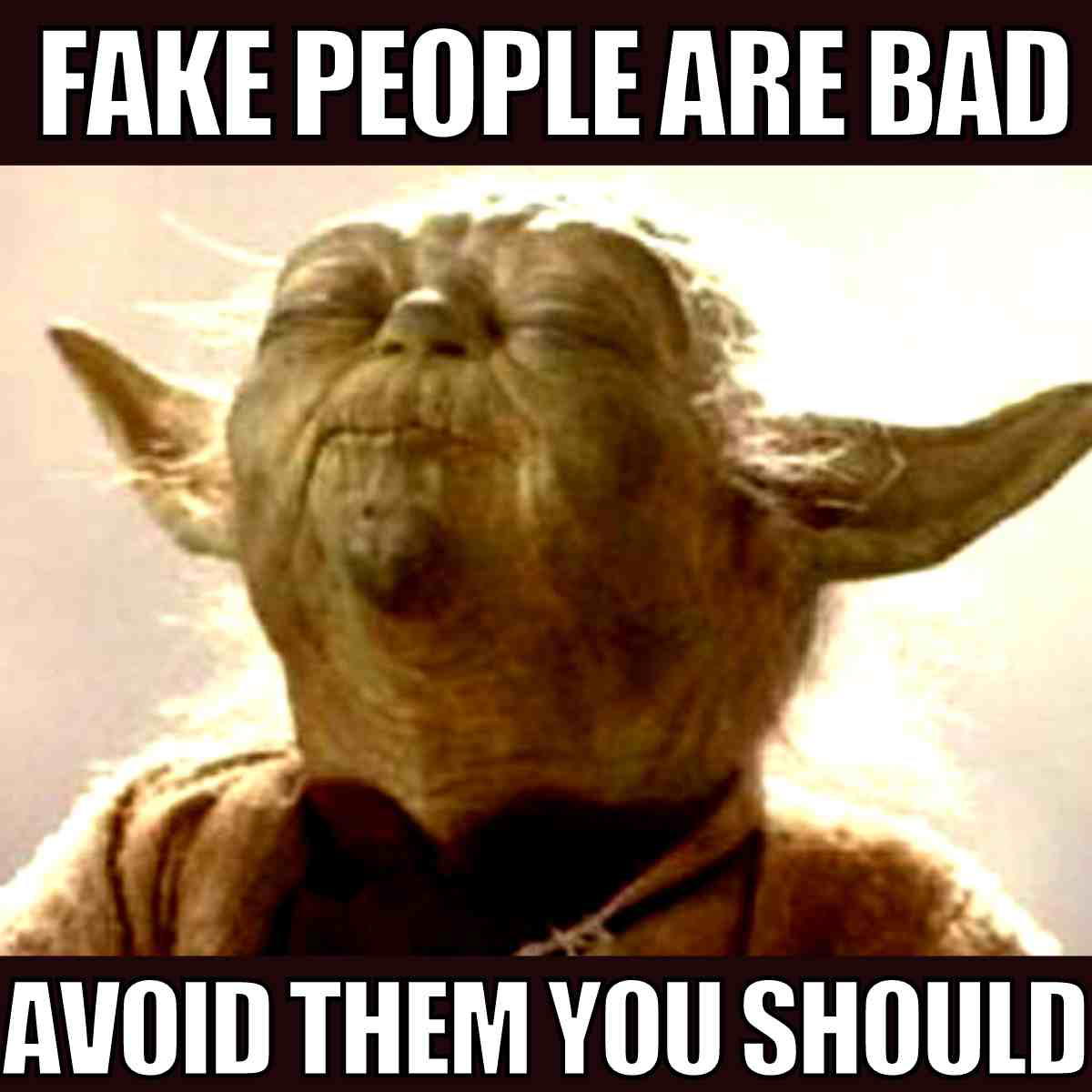 fake people meme funny fake people meme: fake people are bad avoid them you should