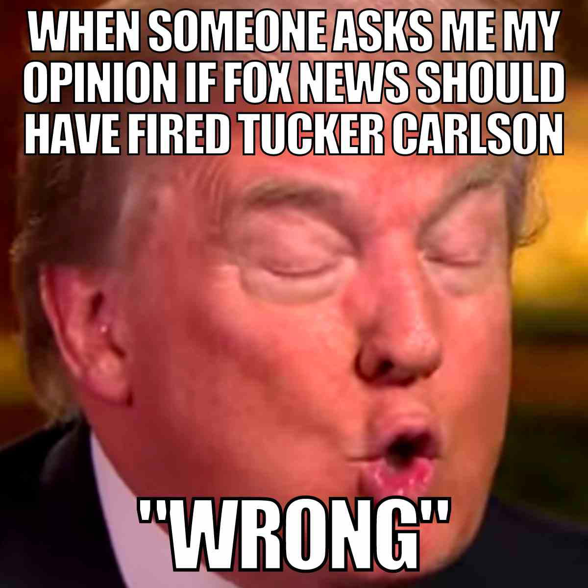pro tucker carlson meme pro tucker carlson meme: when someone asks me my opinion if fox news should have fired tucker carlson "wrong"