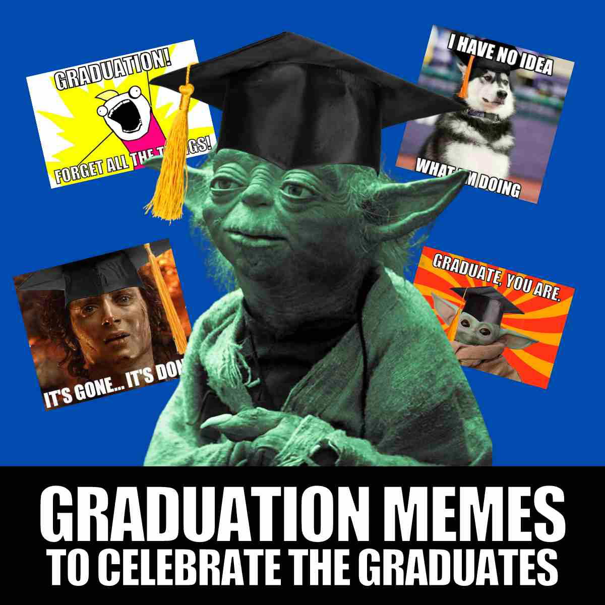 graduation memes funny A graduation meme collage featuring Yoda in a cap, with memes like 'Forget all the things!' and 'Graduate, you are.' humorously celebrating graduation.