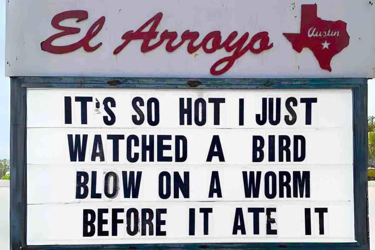 hot summer meme hot summer meme caption: its so hot i just watched a bird blow on a worm before it ate it.