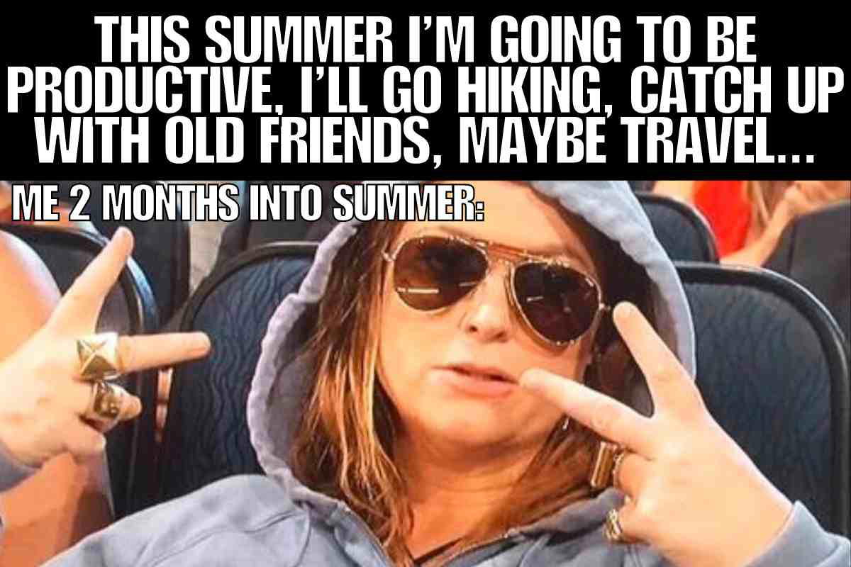 summer productivity meme This summer i’m going to be productive, i’ll go hiking, catch up with old friends, maybe travel... summer productivity meme