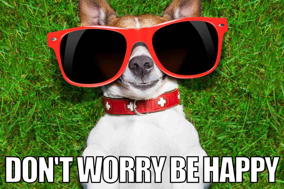 be happy meme motivation Humorous motivational meme of a relaxed dog in red sunglasses lying on grass with the text 'Don't worry, be happy.'