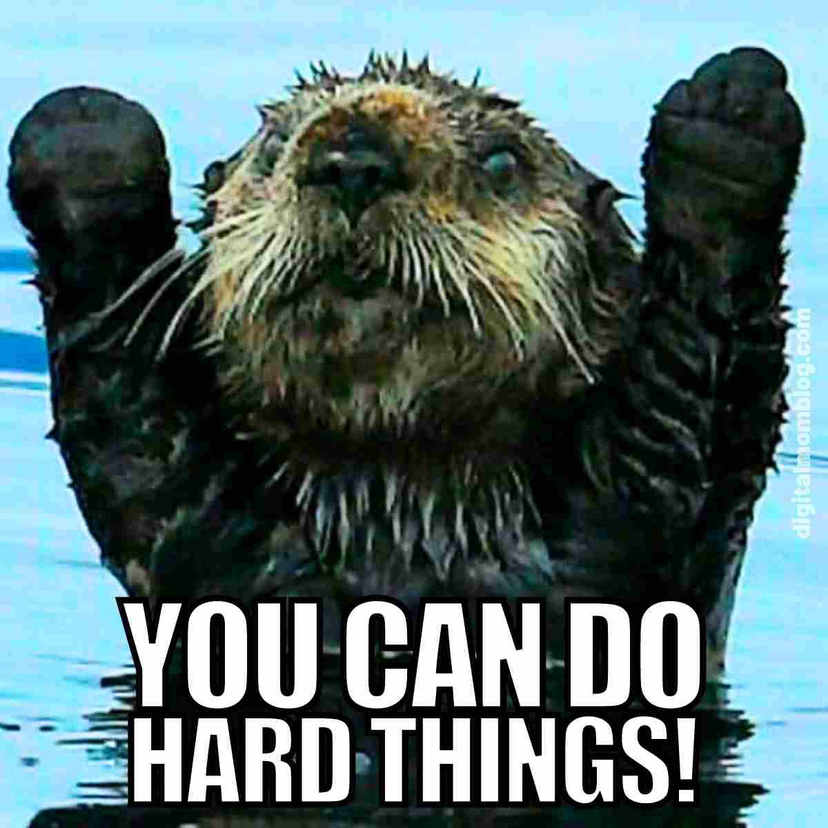 do hard things meme do hard things meme
