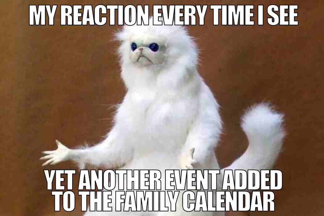 family calendar meme family calendar meme