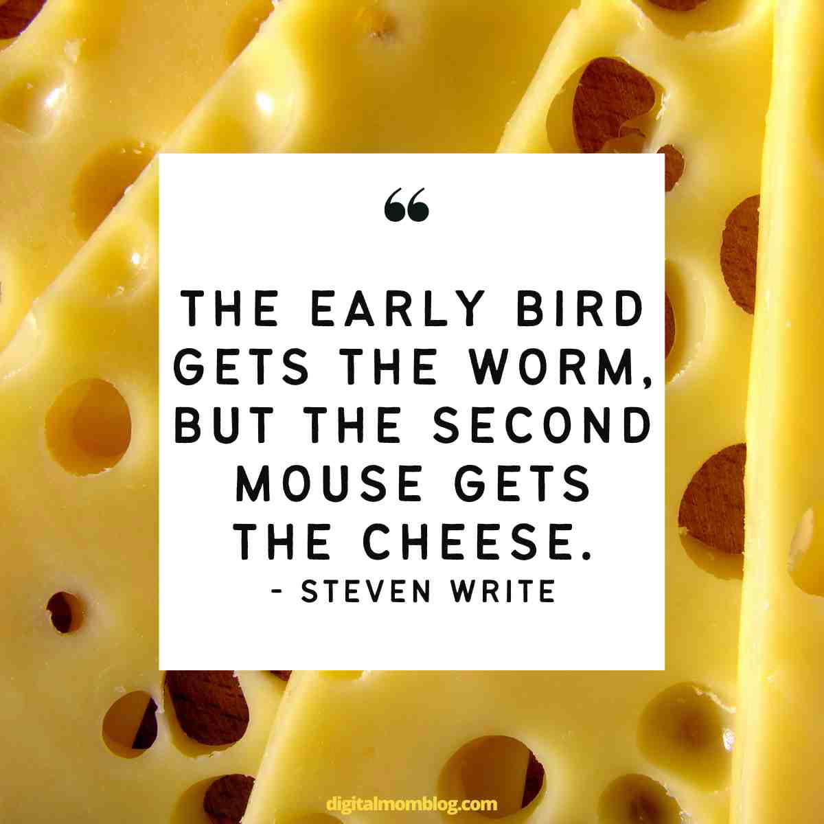 friday morning quote Meme with a quote by Steven Write, "The early bird gets the worm, but the second mouse gets the cheese," over a background of Swiss cheese.