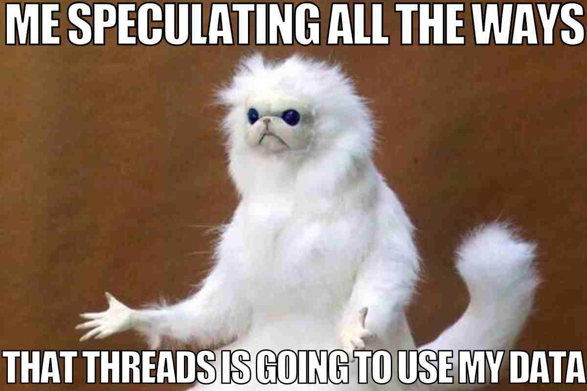 funny threads data meme Meme of the puzzled white cat with text overlay: 'Me speculating all the ways that Threads is going to use my data.' The cat looks hilariously bewildered, just like us trying to figure out tech privacy policies.