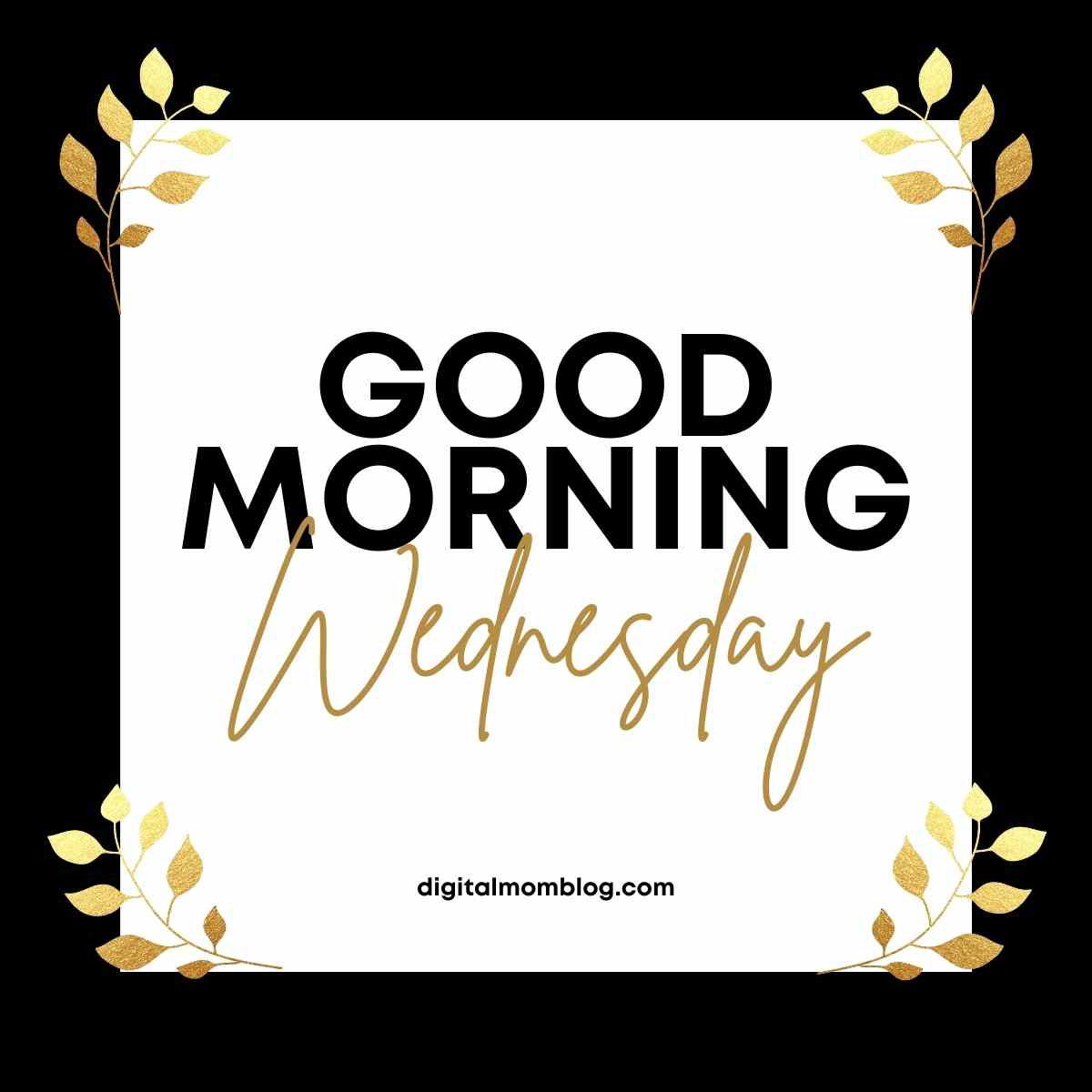 good morning wednesday image good morning wednesday image