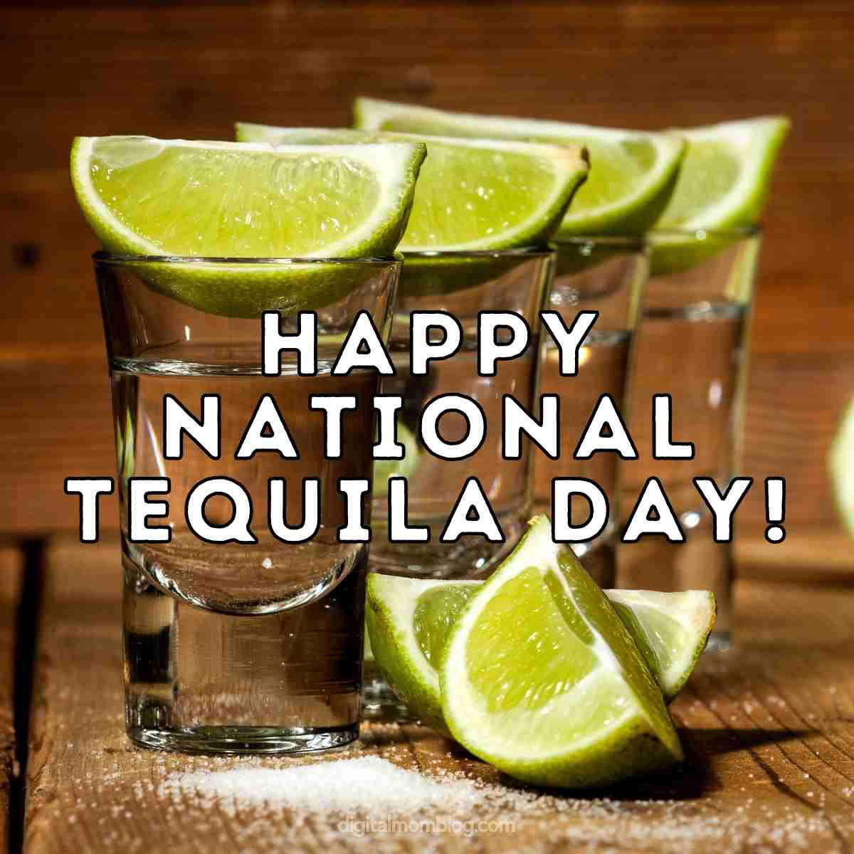 happy tequila day meme Meme featuring a row of tequila shot glasses topped with lime wedges and the text 'Happy National Tequila Day!' celebrating the occasion with humor.