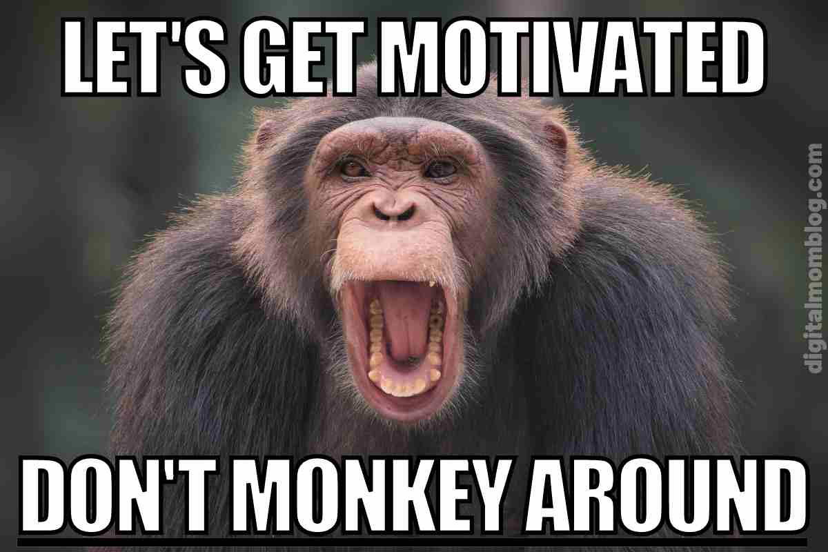 monkey motivational meme Hilarious monkey meme featuring a chimpanzee yelling 'Let's Get Motivated, Don't Monkey Around,' urging you to stop procrastinating with a cheeky grin.