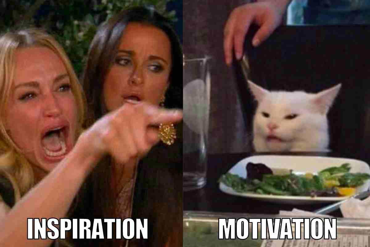 motivation inspiration meme Meme featuring a split image: on the left, a woman angrily points categorized as 'Inspiration'; on the right, a white cat looks unamused behind a plate of salad, labeled 'Motivation'.