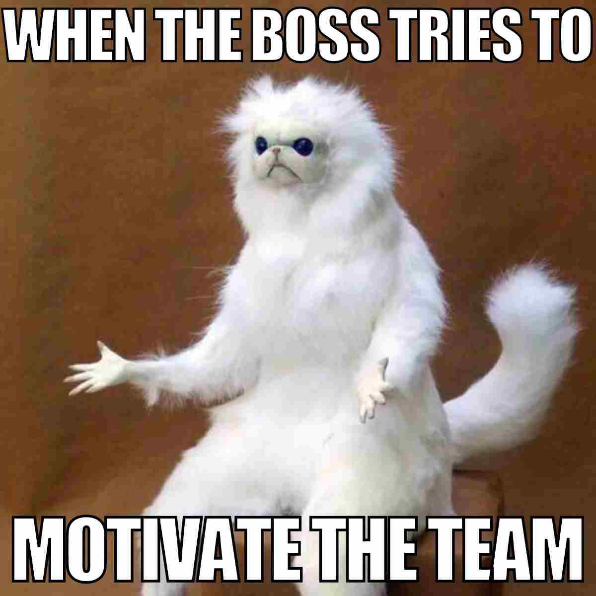motivation team meme Funny meme of a confused white cat with text: 'WHEN THE BOSS TRIES TO MOTIVATE THE TEAM,' capturing office humor where team motivation efforts go hilariously awry.