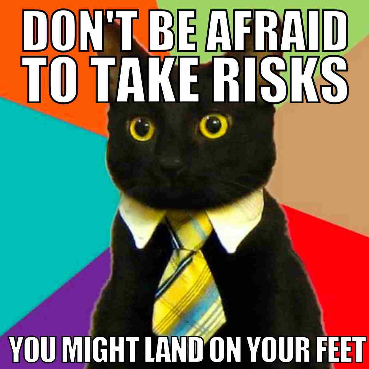 motivational cat meme Meme of a black cat wearing a tie with text saying, "Don't be afraid to take risks, you might land on your feet," humorously encouraging risktaking like a cat.
