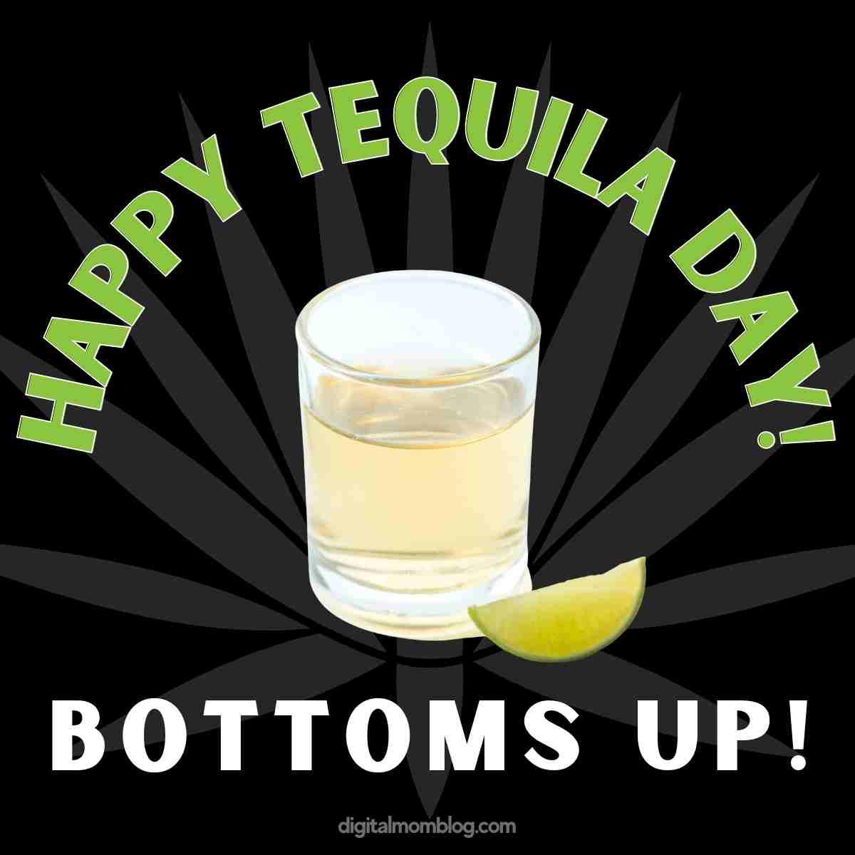 national tequila day meme Meme celebrating "Happy Tequila Day" with a shot glass of tequila and a lime wedge, captioned "Bottoms Up!"
