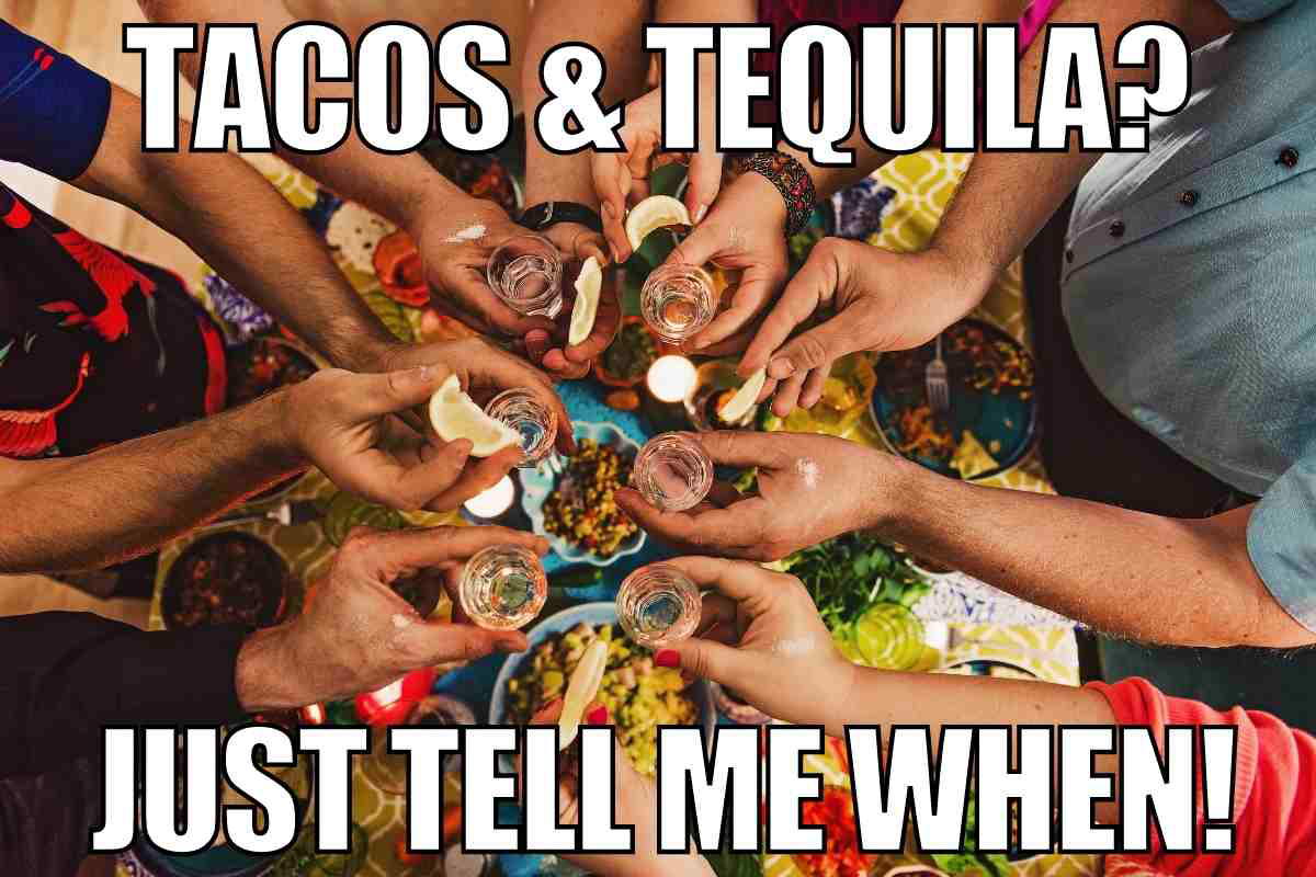 tacos and tequila meme Meme showing a group of hands raising tequila shots with lime, over a colorful table spread of tacos, captioned 'Tacos & Tequila? Just tell me when!'