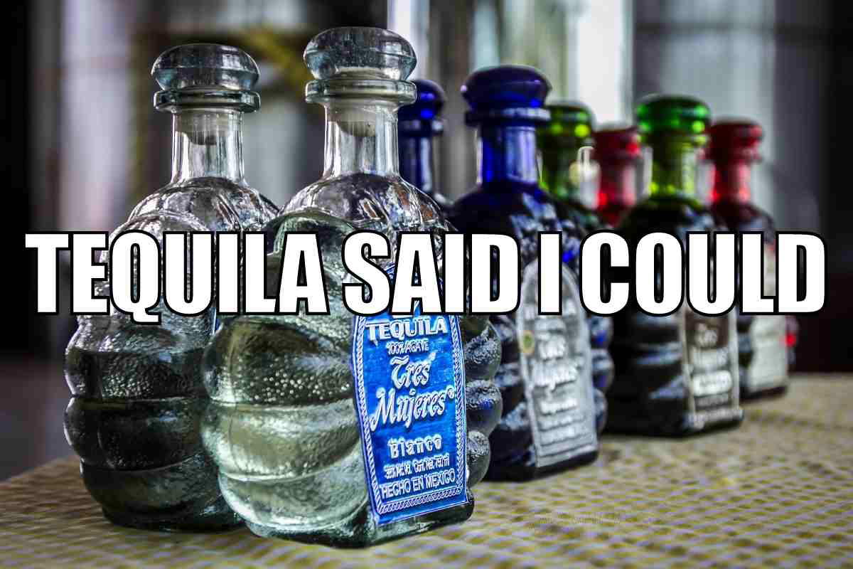 tequila funny meme Meme with rows of tequila bottles and the text 'Tequila said I could' humorously implying tequila's role in decisionmaking.