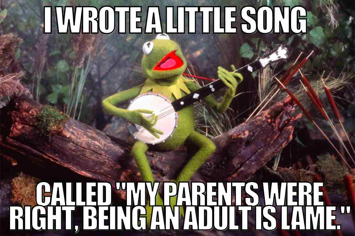 adult meme funny adult meme funny