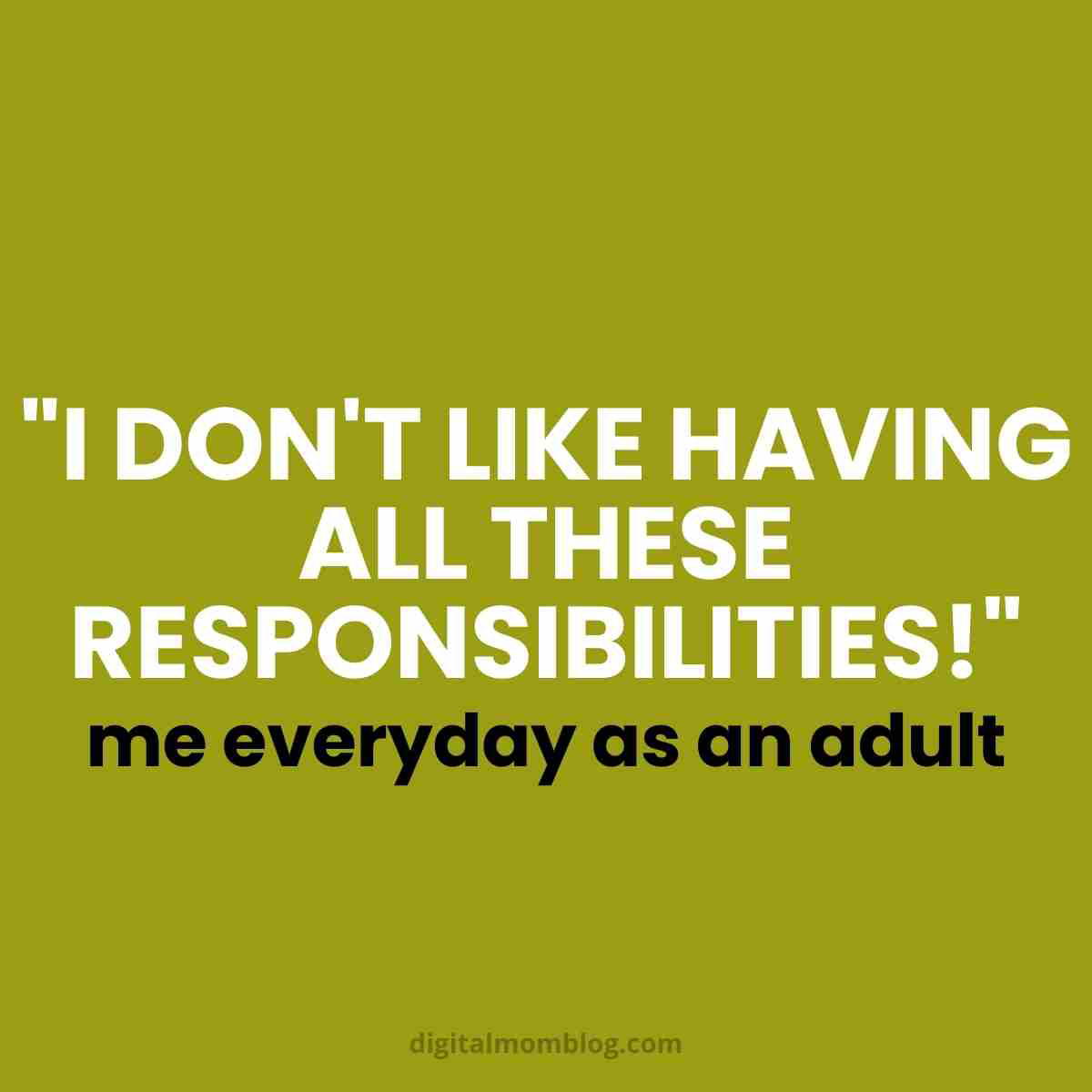 adult responsibilities meme adult responsibilities meme
