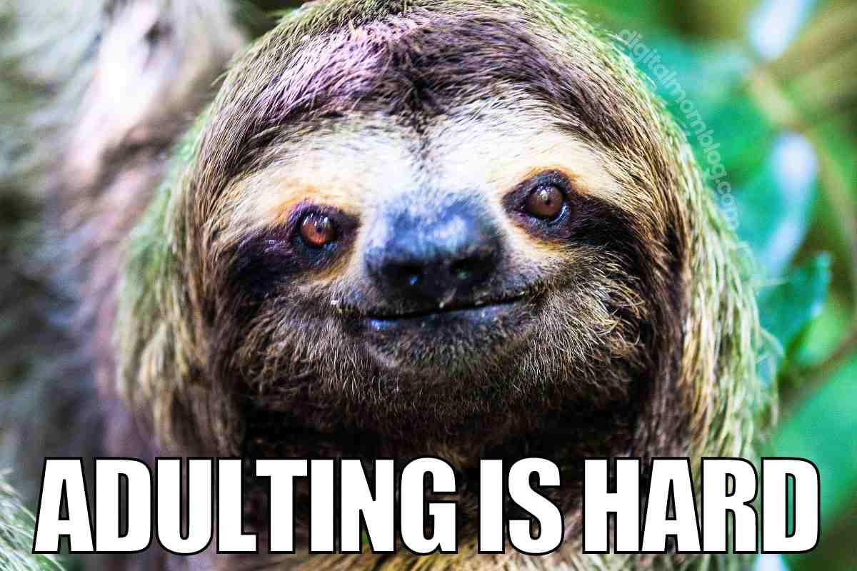 adulting is hard meme adulting is hard meme