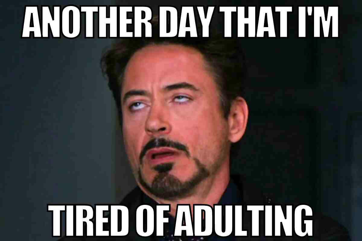 adulting meme funny adulting meme funny
