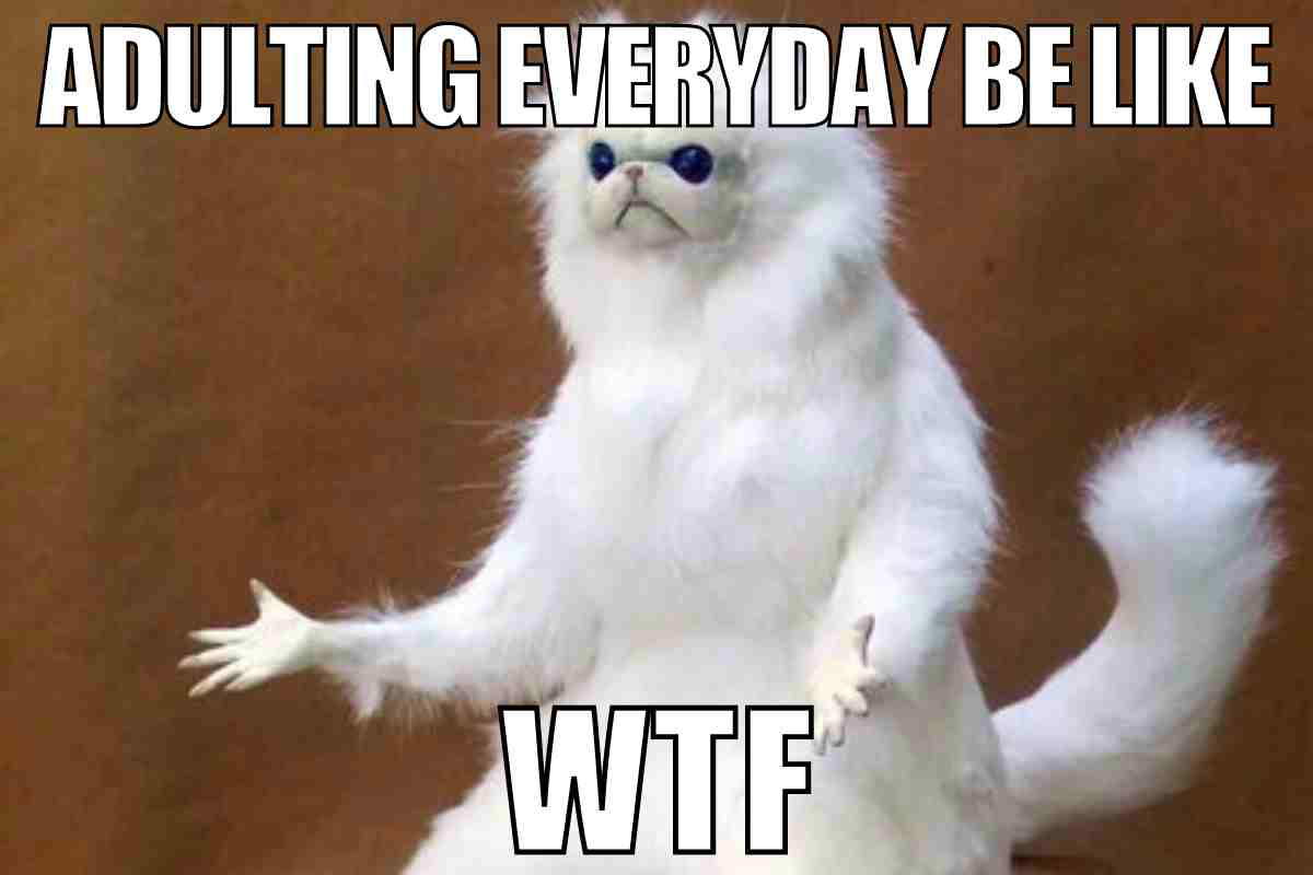 adulting meme adulting meme