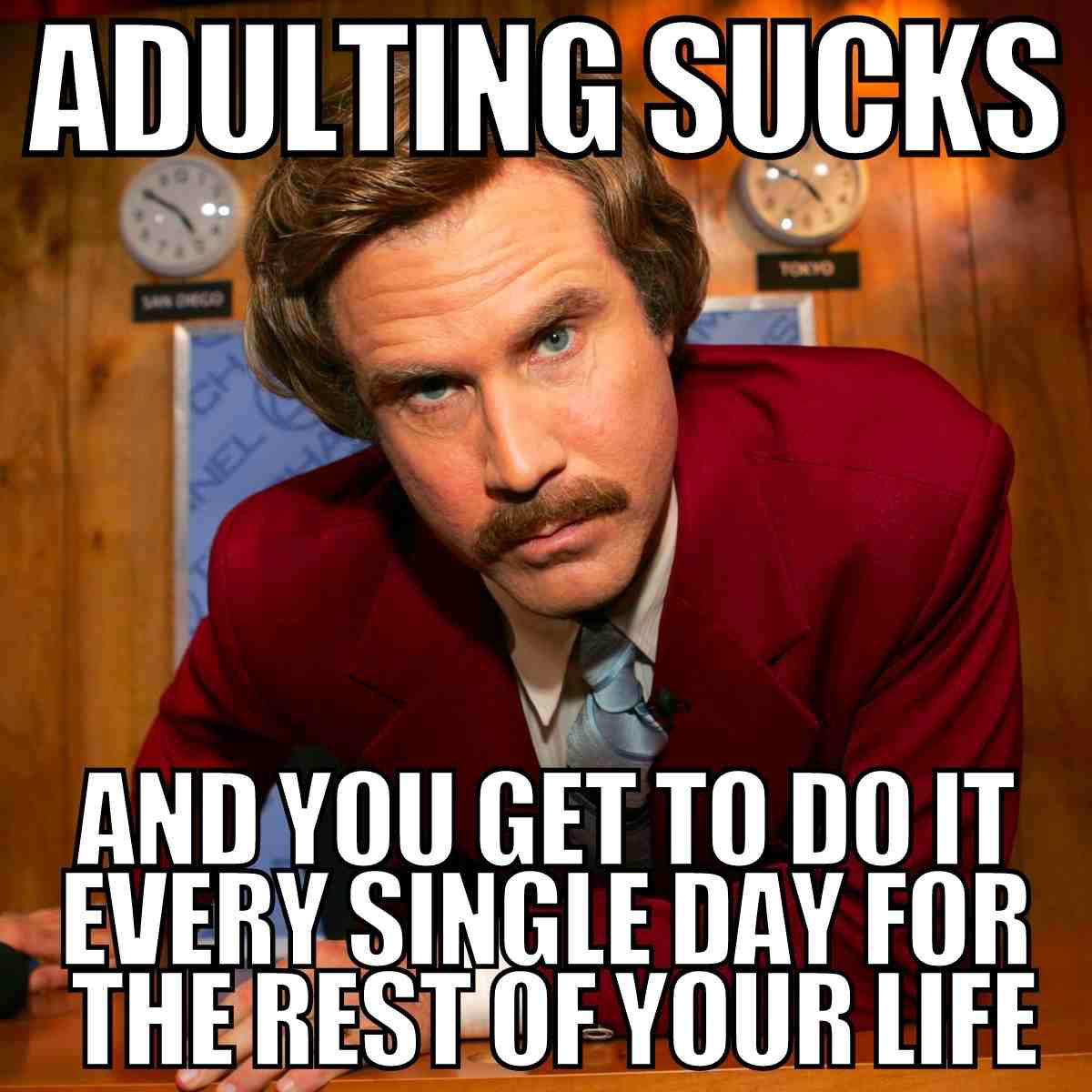 adulting sucks meme adulting sucks meme