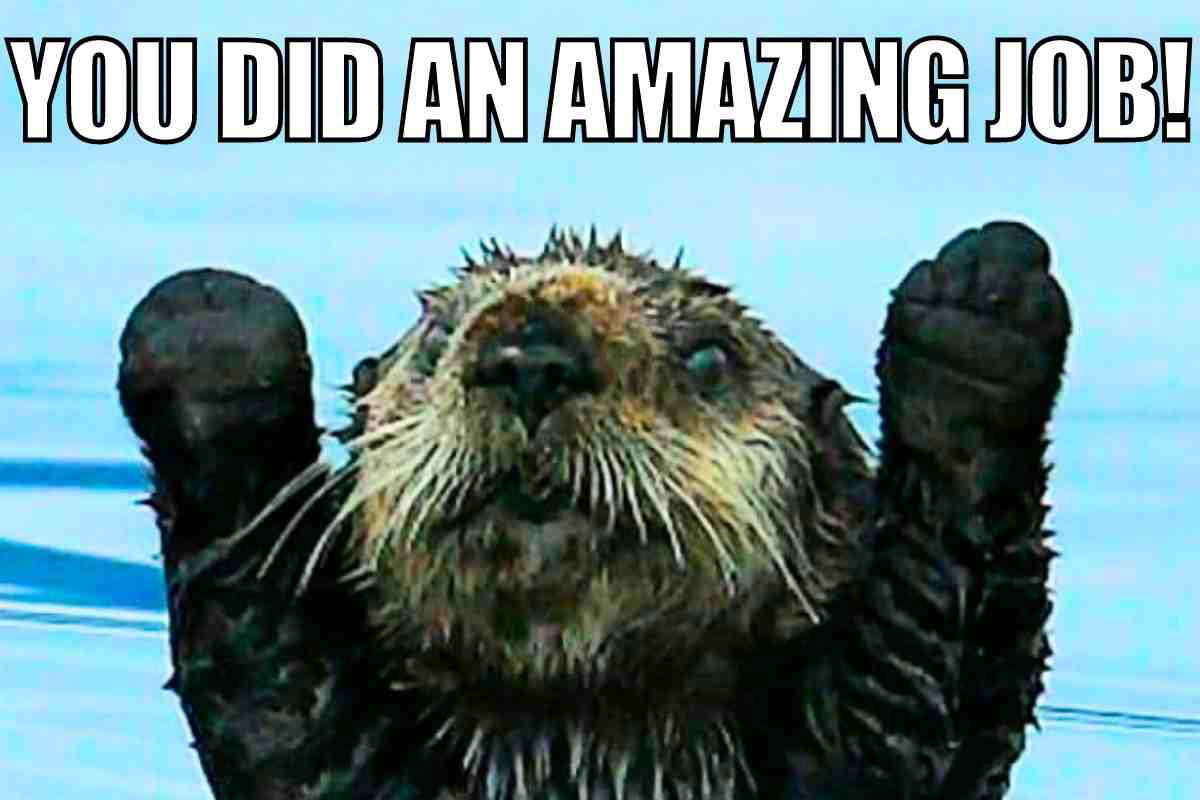 amazing job amazing job