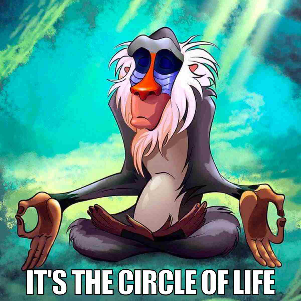 circle of life meme circle of life meme