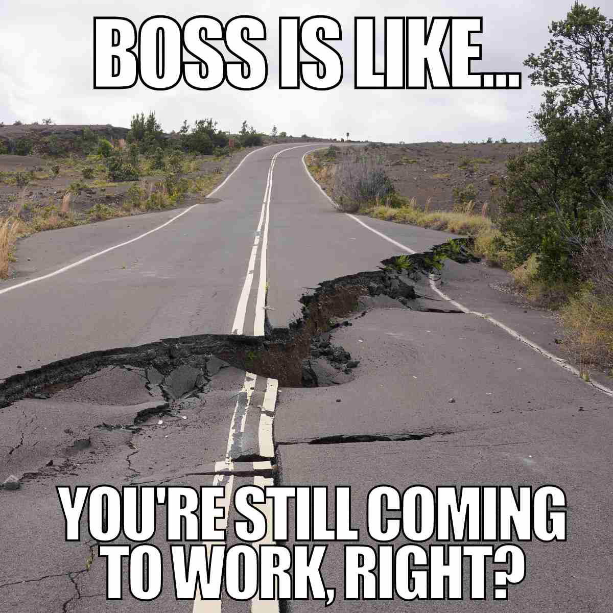 earthquake work meme Meme of a cracked road with text saying, 'Boss is like... You’re still coming to work, right?', poking fun at unrealistic work expectations.