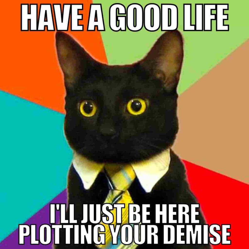 funny good life meme funny good life meme