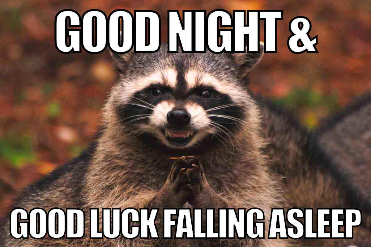 funny goodnight meme Mischievous raccoon with clasped hands captioned 'Good Night & Good Luck Falling Asleep,' making this a funny goodnight meme.