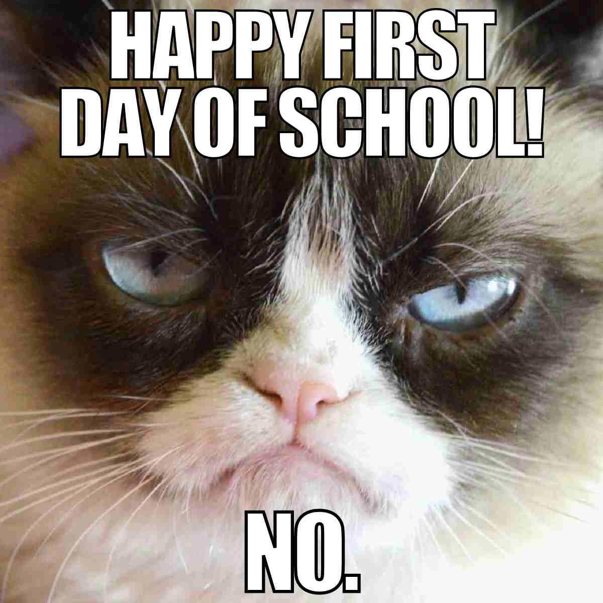 funny happy first day of school image funny happy first day of school image
