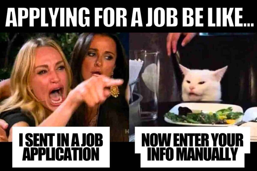 funny job application meme Meme split into two panels: on the left, a woman angrily points, labeled 'I SENT IN A JOB APPLICATION'; on the right, a cat looks unimpressed, labeled 'NOW ENTER YOUR INFO MANUALLY'.