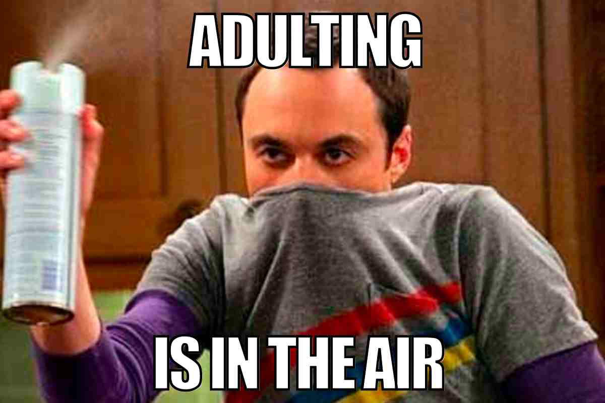 funny meme adulting funny meme adulting