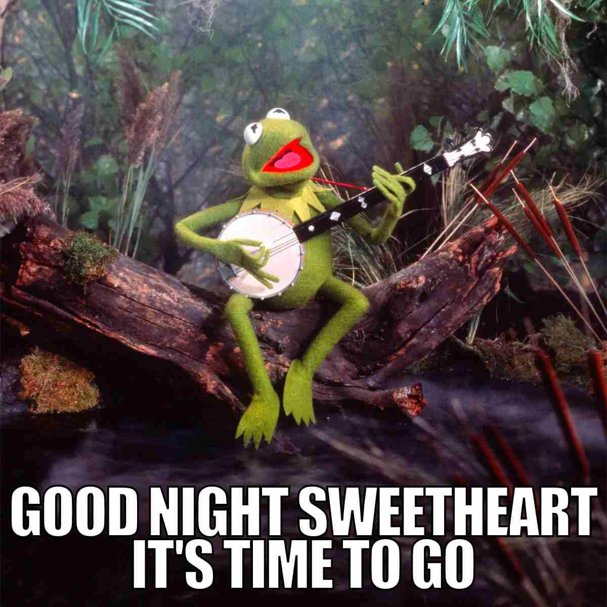 good night sweetheart meme good night sweetheart meme