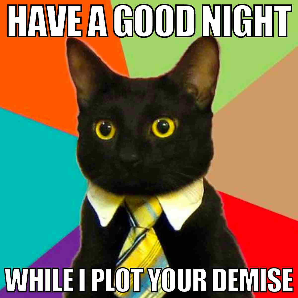 goodnight cat meme Meme of a black cat in a suit and tie with the caption 'Have a good night while I plot your demise,' set against a colorful background.