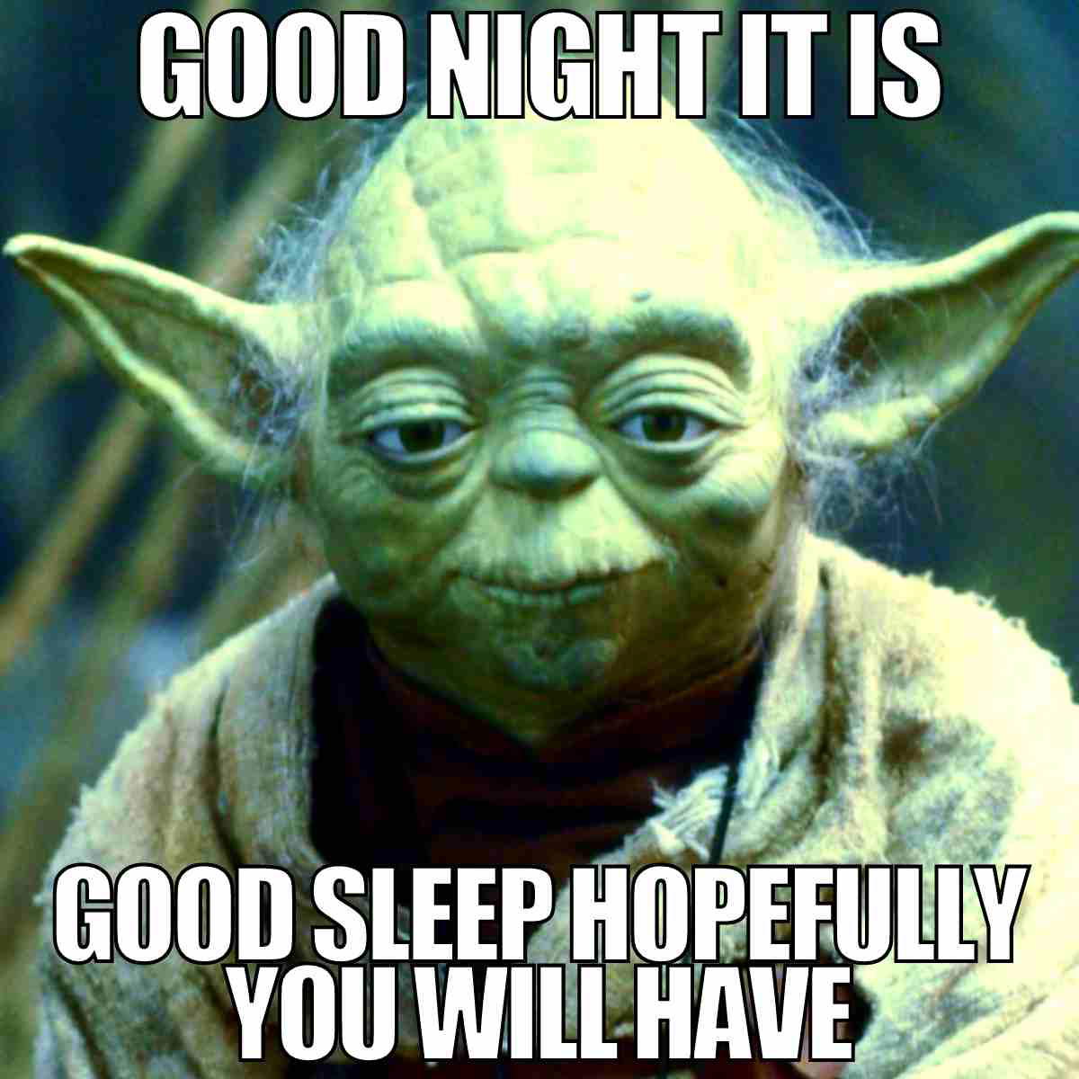 goodnight meme funny Funny bedtime meme with a wise, green, pointy-eared character saying, 'Good night it is, good sleep hopefully you will have,' in classic backwards wisdom style.