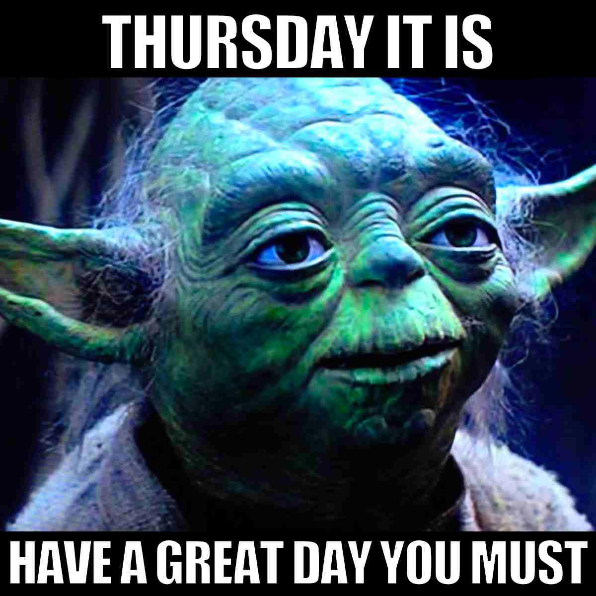 have a great thursday meme Wise green creature advises, 'Thursday it is, have a great day you must,' reminding us that the Force is strong with Friday eve humor.