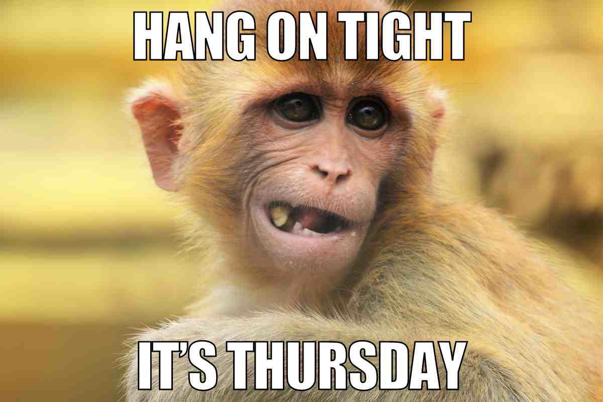 its thursday meme A meme featuring a monkey with a hilariously bewildered expression, captioned 'Hang on tight, it's Thursday!' capturing the energy of barely surviving the week.