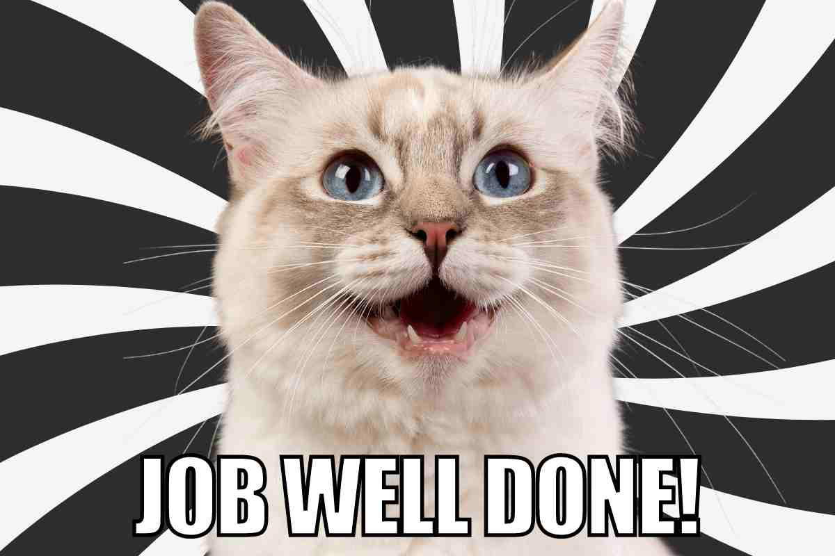 job well done meme A meme featuring an enthusiastic, wide-eyed cat against a hypnotic black and white spiral background, with the caption 'JOB WELL DONE!' celebrating work accomplishments in a humorously over-the-top feline manner.