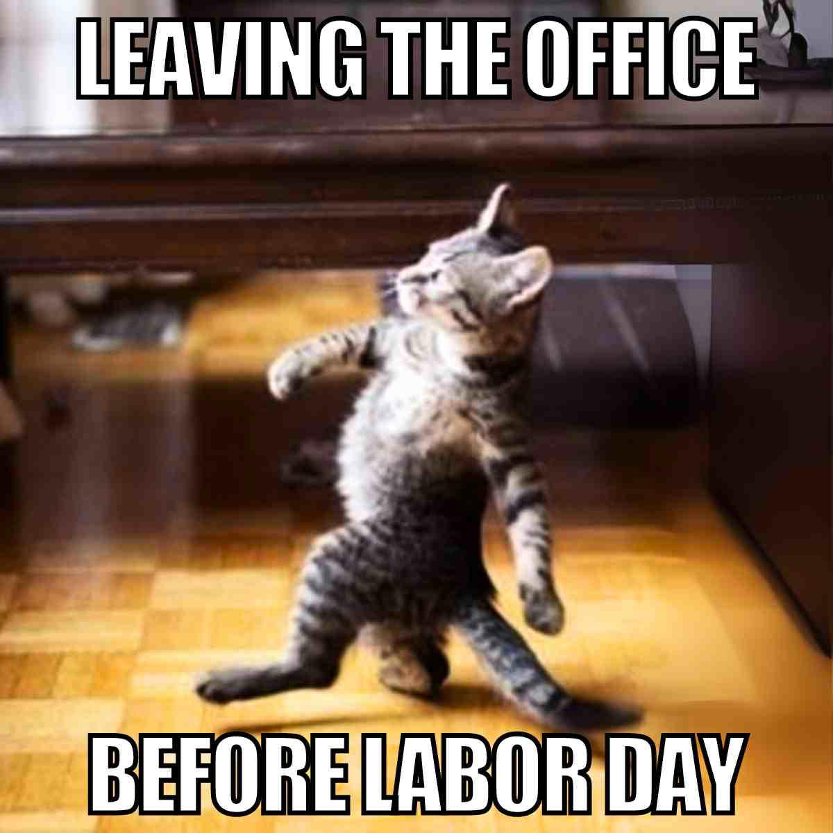 leaving work labor day meme Meme of a sassy cat walking with attitude under the text "Leaving the office before Labor Day," capturing that preweekend vibe.