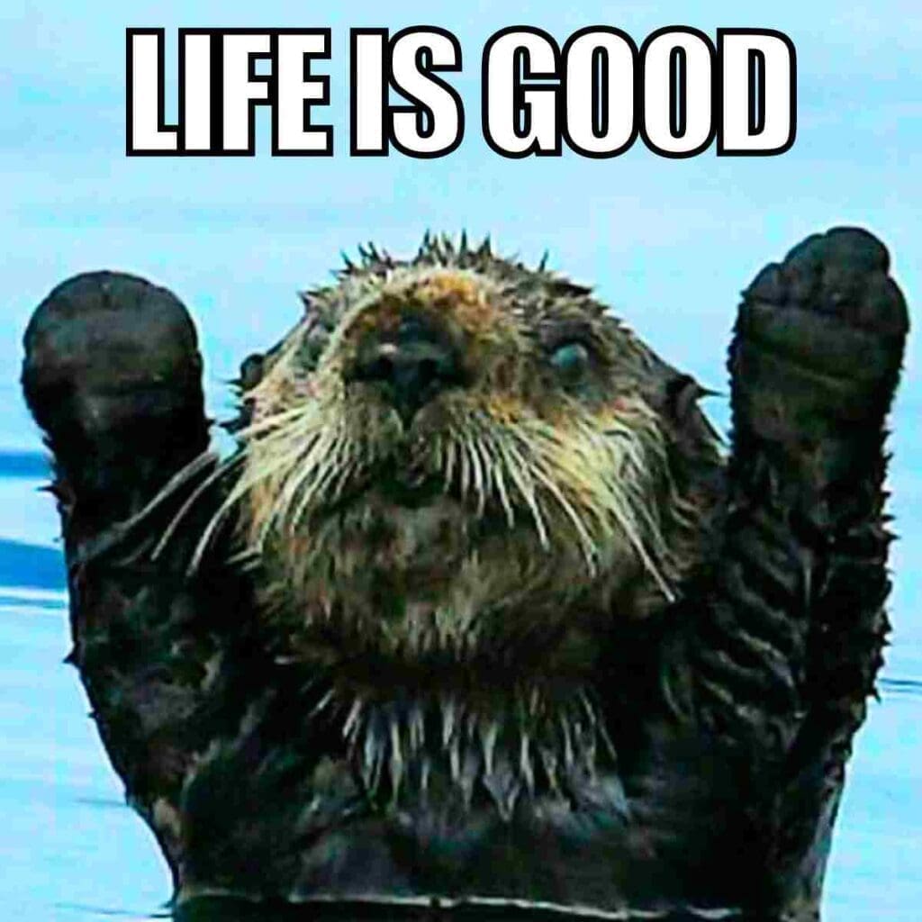 life is good meme life is good meme