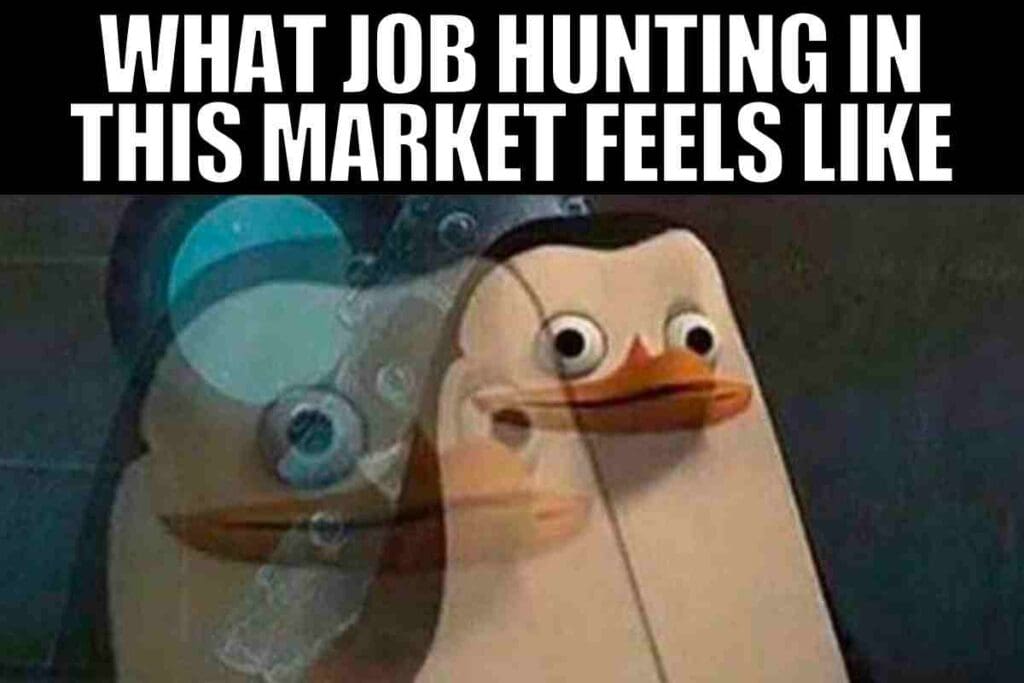 looking for a job meme Job market meme featuring a bewildered penguin with text overlay: 'What job hunting in this market feels like.'