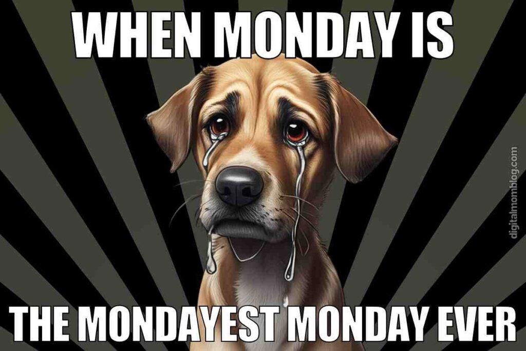 mondayest monday ever meme An illustration of a sad dog with tears in its eyes, accompanied by the text "WHEN MONDAY IS THE MONDAYEST MONDAY EVER."