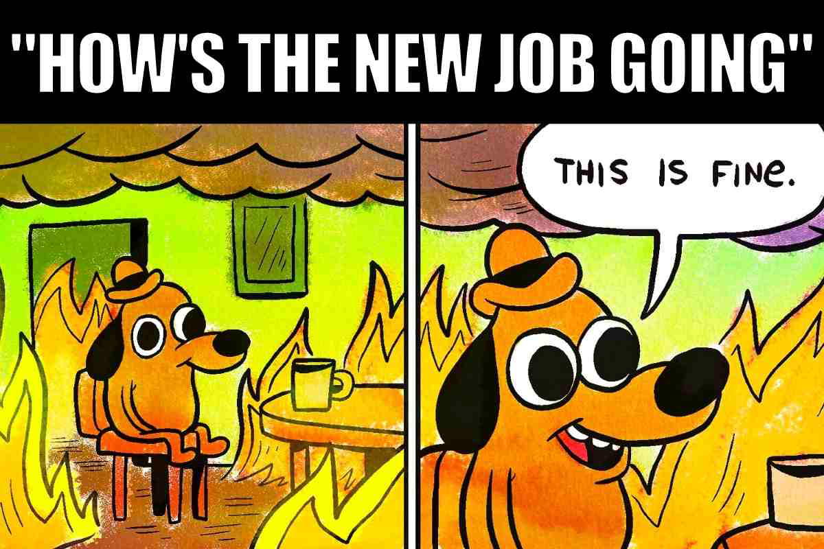 new job funny meme Meme of a dog in a burning room, calmly saying "This is fine" in response to "How's the new job going," humorously capturing workplace chaos.