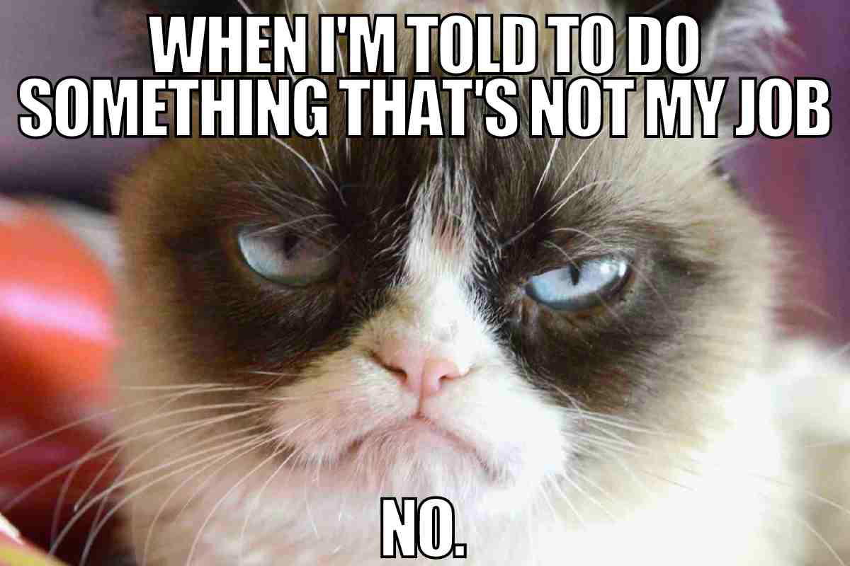 not my job meme Grumpy cat meme looking unimpressed with caption 'WHEN I'M TOLD TO DO SOMETHING THAT'S NOT MY JOB. NO.' Perfect meme for when you're over workplace nonsense.