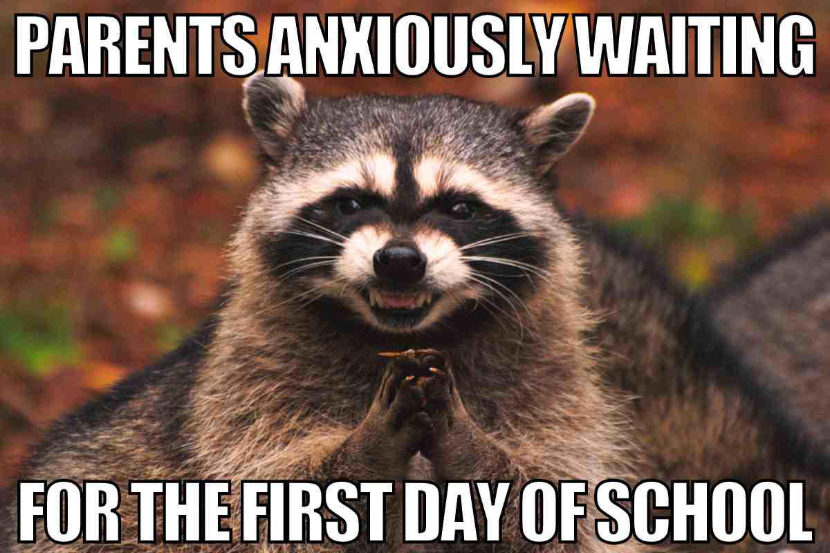 parents first day of school meme Mischievous raccoon clapping gleefully with text: 'Parents anxiously waiting for the first day of school,' capturing the humor of parental excitement for school starting again.
